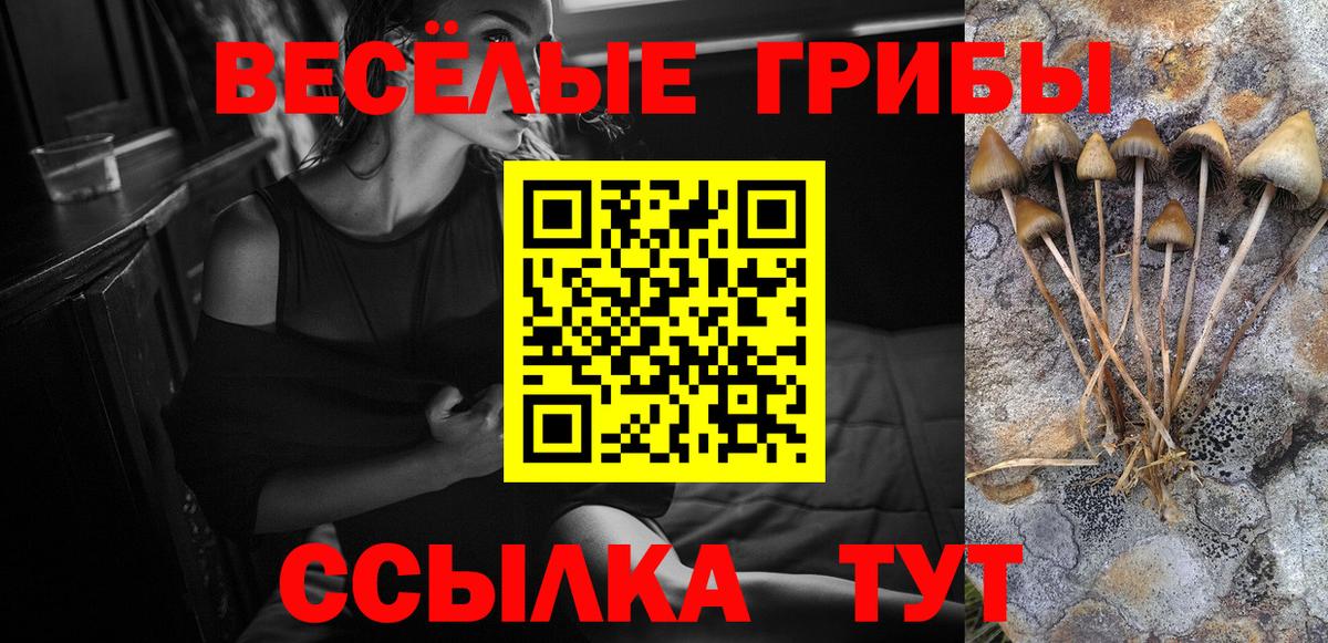 Касимов  Галлюциногенные грибы Psilocybine cubensis  Вход с VPN 